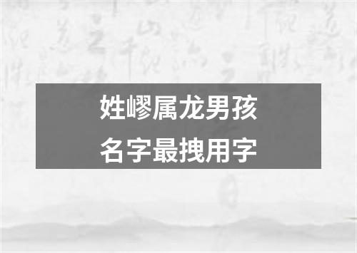 姓嵺属龙男孩名字最拽用字