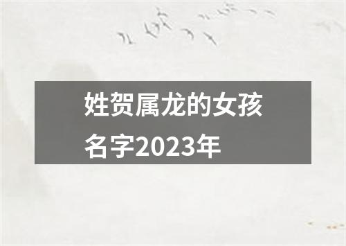 姓贺属龙的女孩名字2023年