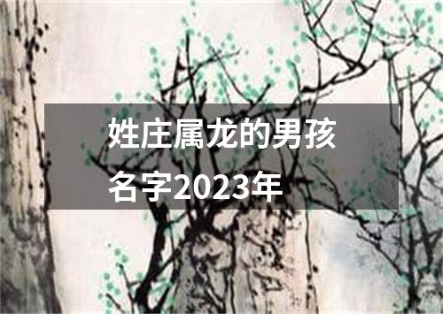 姓庄属龙的男孩名字2023年