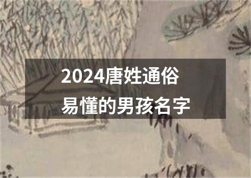 2024唐姓通俗易懂的男孩名字