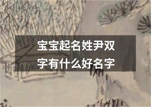 宝宝起名姓尹双字有什么好名字