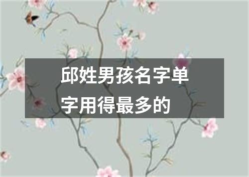 邱姓男孩名字单字用得最多的