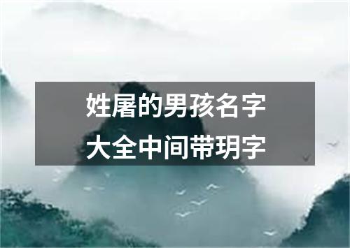 姓屠的男孩名字大全中间带玥字