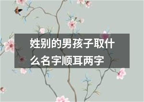 姓别的男孩子取什么名字顺耳两字