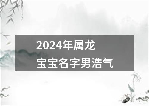 2024年属龙宝宝名字男浩气