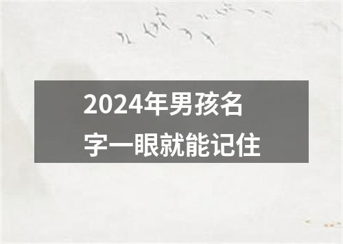 2024年男孩名字一眼就能记住