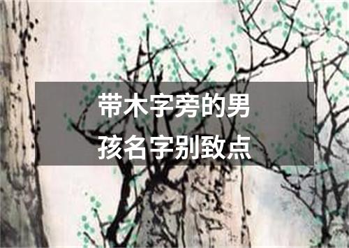 带木字旁的男孩名字别致点