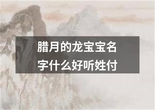 腊月的龙宝宝名字什么好听姓付