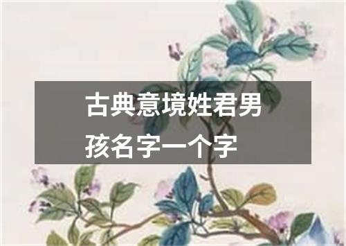 古典意境姓君男孩名字一个字