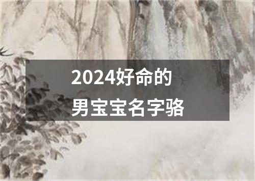 2024好命的男宝宝名字骆