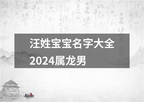 汪姓宝宝名字大全2024属龙男