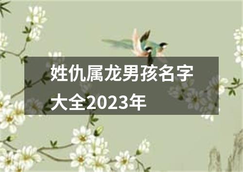 姓仇属龙男孩名字大全2023年