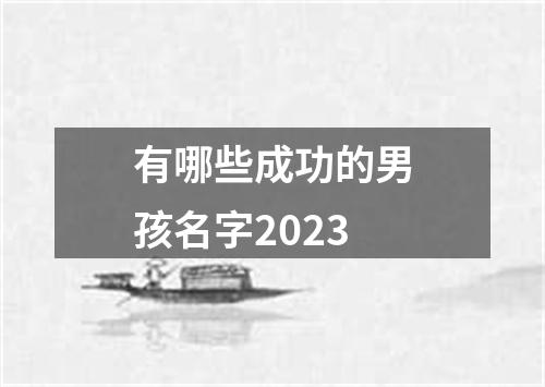 有哪些成功的男孩名字2023