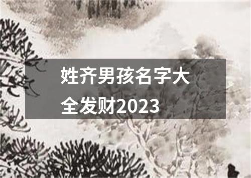 姓齐男孩名字大全发财2023