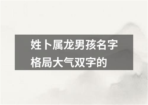 姓卜属龙男孩名字格局大气双字的