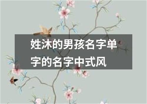 姓沐的男孩名字单字的名字中式风