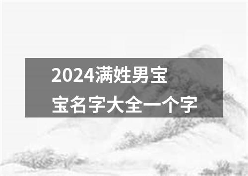 2024满姓男宝宝名字大全一个字