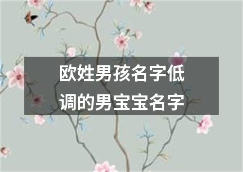 欧姓男孩名字低调的男宝宝名字