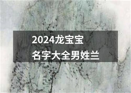 2024龙宝宝名字大全男姓兰