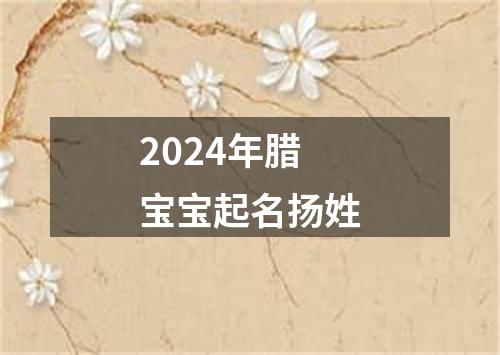 2024年腊宝宝起名扬姓