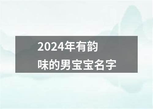 2024年有韵味的男宝宝名字