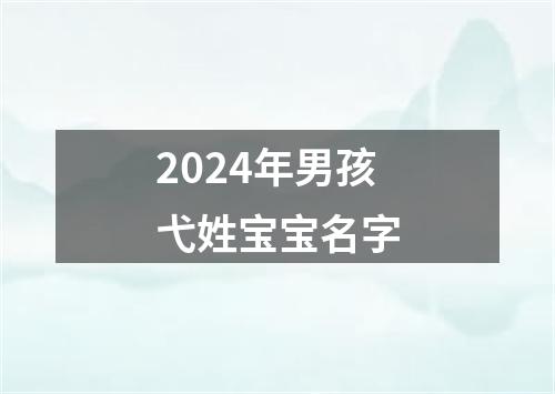 2024年男孩弋姓宝宝名字