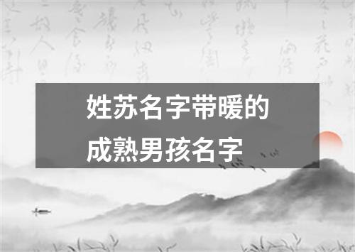 姓苏名字带暖的成熟男孩名字