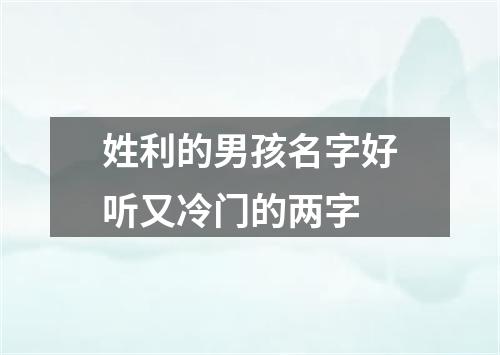 姓利的男孩名字好听又冷门的两字