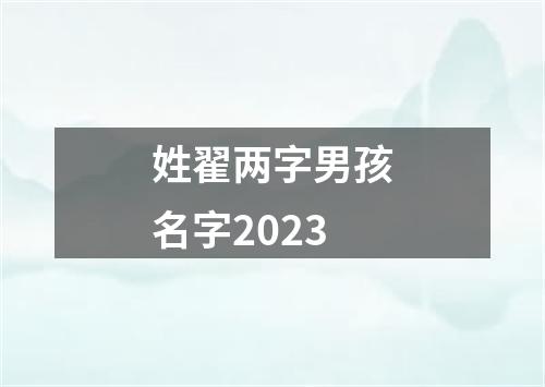 姓翟两字男孩名字2023