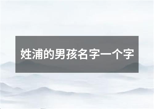 姓浦的男孩名字一个字