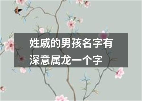 姓戚的男孩名字有深意属龙一个字