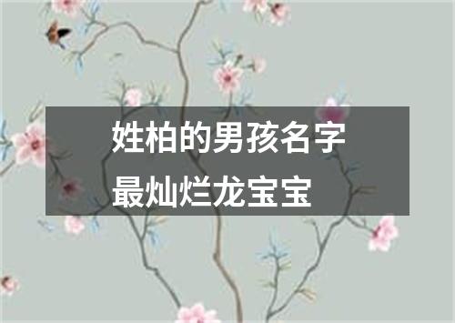 姓柏的男孩名字最灿烂龙宝宝