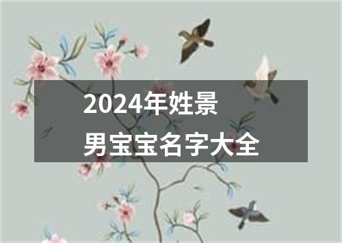 2024年姓景男宝宝名字大全