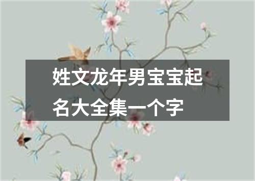 姓文龙年男宝宝起名大全集一个字