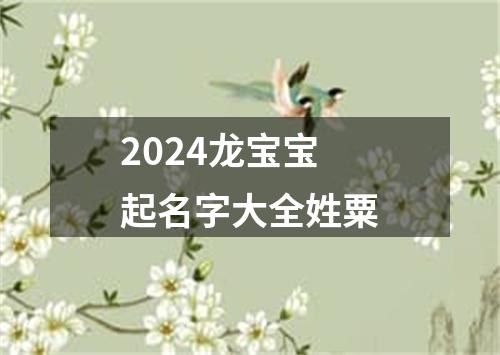 2024龙宝宝起名字大全姓粟