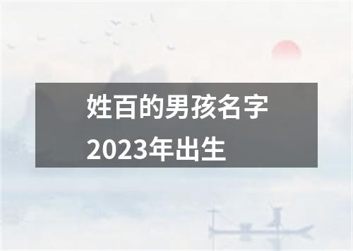 姓百的男孩名字2023年出生