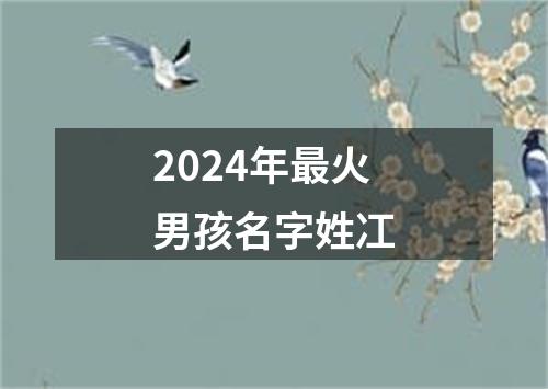 2024年最火男孩名字姓冮