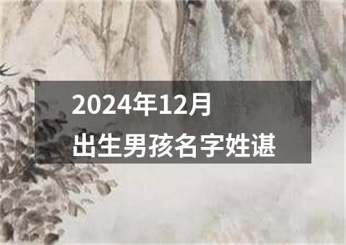 2024年12月出生男孩名字姓谌