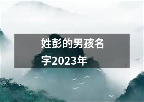 姓彭的男孩名字2023年