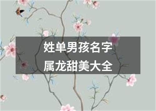 姓单男孩名字属龙甜美大全