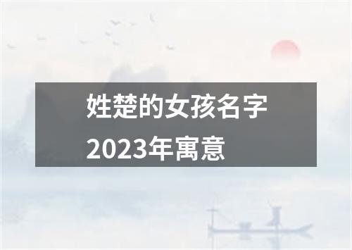 姓楚的女孩名字2023年寓意