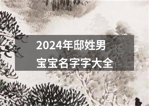 2024年邸姓男宝宝名字字大全