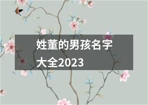 姓董的男孩名字大全2023