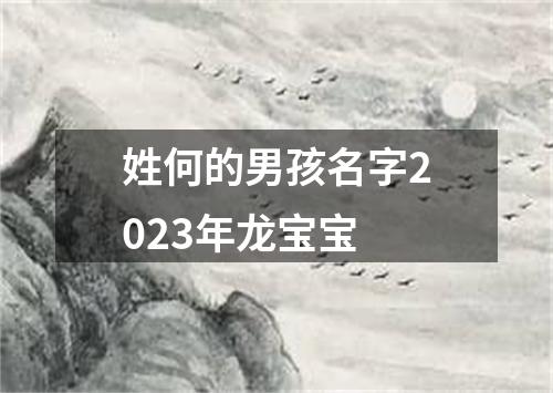 姓何的男孩名字2023年龙宝宝