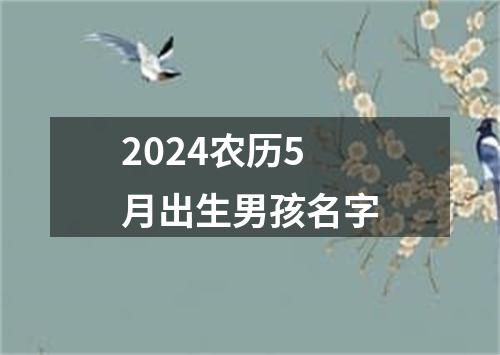 2024农历5月出生男孩名字