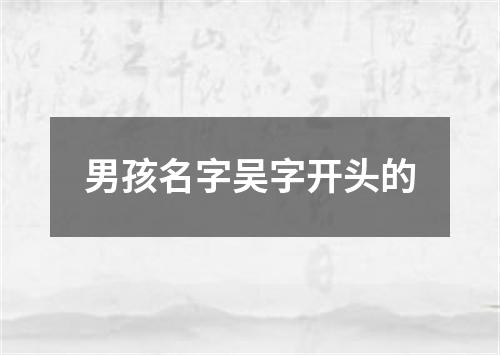 男孩名字吴字开头的