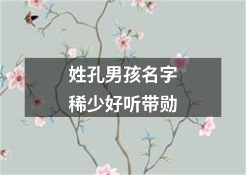 姓孔男孩名字稀少好听带勋