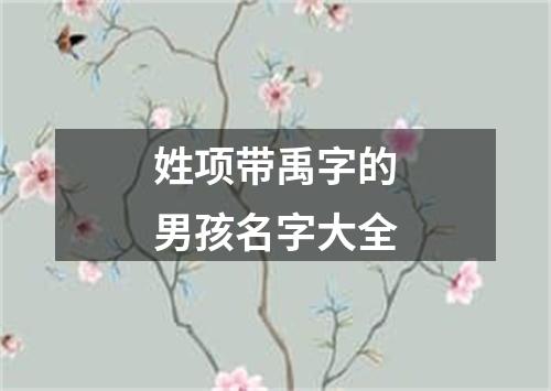 姓项带禹字的男孩名字大全