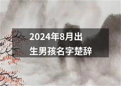 2024年8月出生男孩名字楚辞