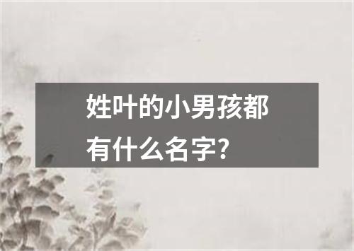 姓叶的小男孩都有什么名字?